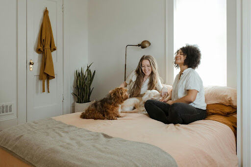 10 Creative Ways to Pamper Your Pet And Show Them Love